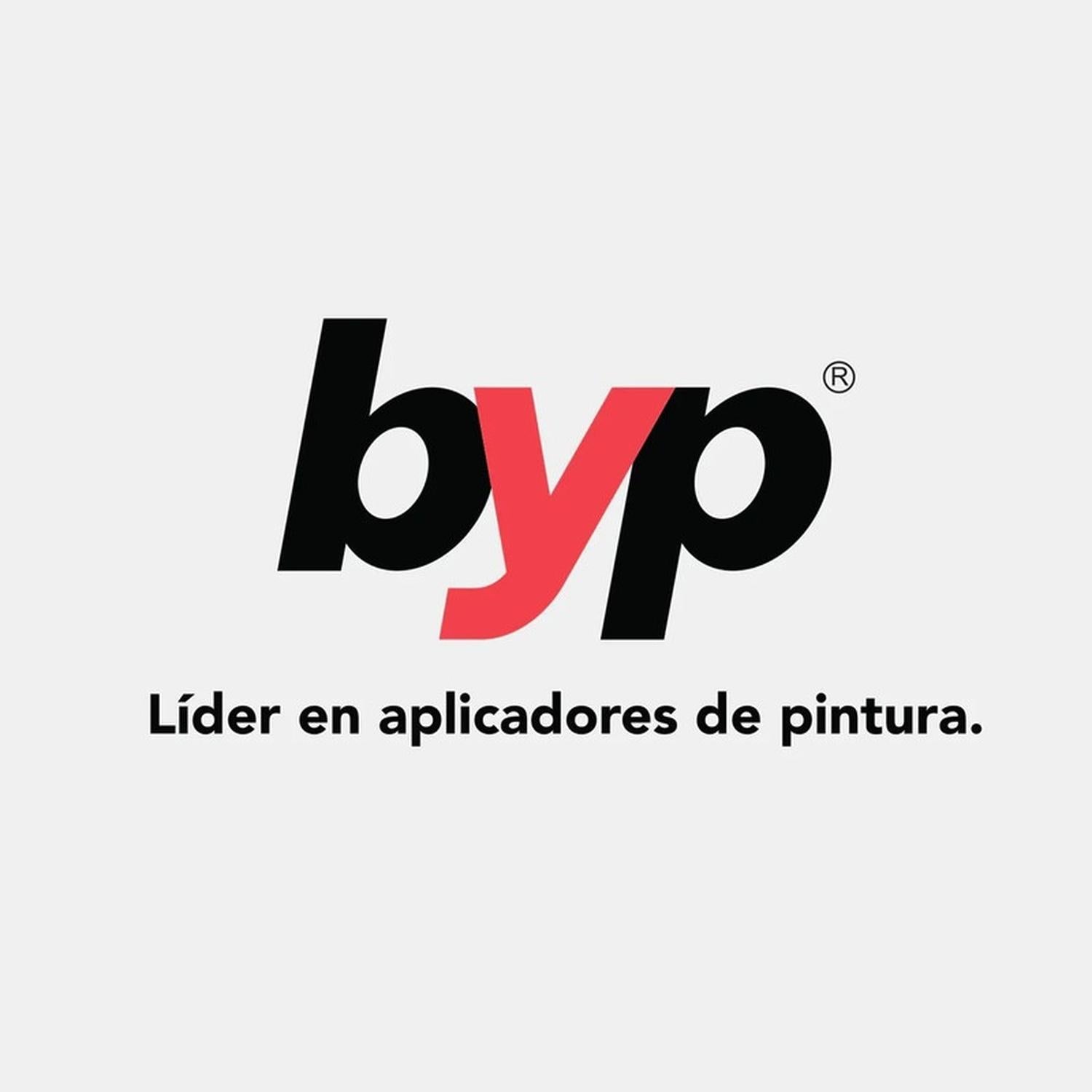 Plasti Protector 10 m2 Uso Rudo ByP Caja 12 Pz - Flash Sales